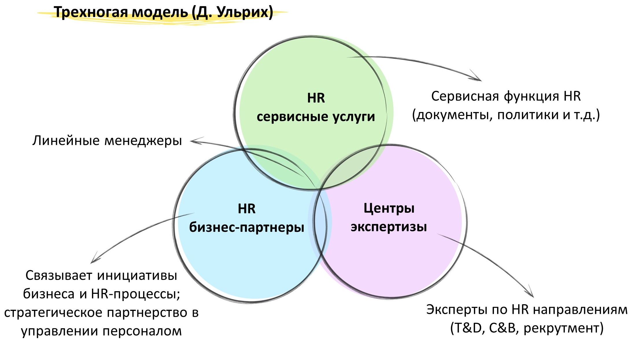 Обязанности эйчара